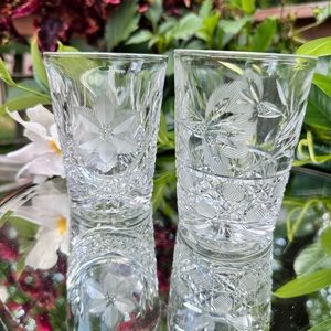 Pair Antique American Brilliant Period Cut Glass Tumblers Flower Design